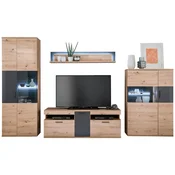 Livetastic DNEVNI REGAL, antracit, prozorno, barve hrasta
