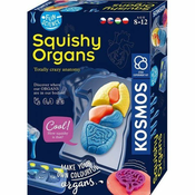 Russell Fun Science-Squishy Organs Science Kit