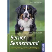 Berner Sennenhund