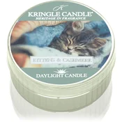 Kringle Candle Kittens & Cashmere čajna sveča 42 g