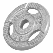 GORILLA SPORTS Teg od livenog gvožda 2.5 kg
