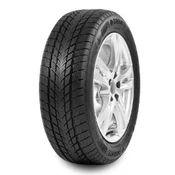 Davanti Wintoura ( 215/65 R16 102H XL )