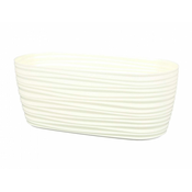 Plastična škatla SAHARA PRIMULE s krožnikom 27cm