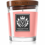 Vellutier Succulent Pink Grapefruit dišeča sveča 90 g