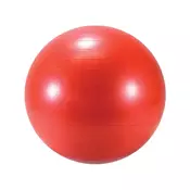LEDRAPLASTIC Lopta Body ball 55
