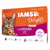 IAMS Delights Senior v omaki - Piščanec (48x85 g)