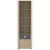 Carryhome REGAL 59/194/41 cm antracit, hrast sonoma