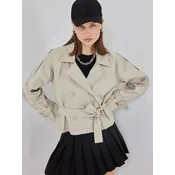 Bigdart Prehoden plašč Trenchcoats bež