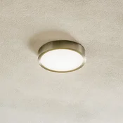 ORION Bully LED stropna svjetiljka, mat nikal, O 14 cm - Dnevni boravak/blagovaonica - Moderan - nikal saten, bijela - Metal