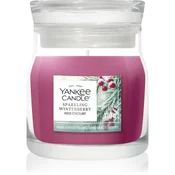YC Signature Sveča Majhna Sparkling Winterberry