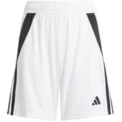 adidas Kratke hlače TIRO24 SHO Y