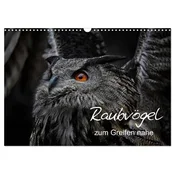 Raubvögel zum Greifen nahe (Wandkalender 2026 DIN A3 quer), CALVENDO Monatskalender