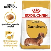 Royal Canin | Adult Jazbečar hrana za odrasle pse