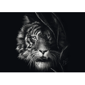 Schmidt - Puzzle Rader: Tigar - 1 000 dijelova