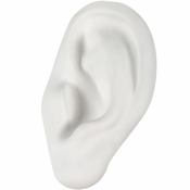 Dekoracija za dom porcelanasto uho MEMORABILIA MVSEVM, 24,5 cm, bela, Seletti