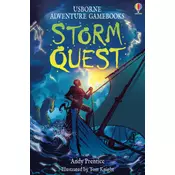 Storm Quest