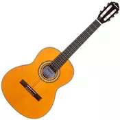 Pasadena PC-100 3/4 3/4 djecja klasicna gitara