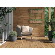 OLIVO MIEL 60x120