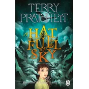 Hat Full of Sky
