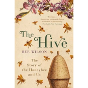 Hive