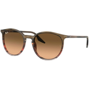 Ray-Ban Naočare za sunce RB 2204 13953B