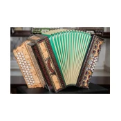Diatonična Melodija 3/III 38cm 37+3, javor korenina