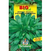 MOTOVOLEC HOLANDSKI BIG PACK 15gr