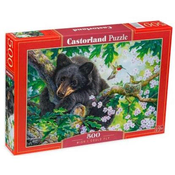 Castorland - Puzzle Želim si, da bi letel - 500 kosov
