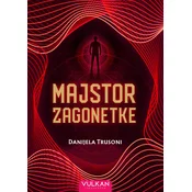 Majstor zagonetke