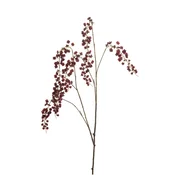 Lepidium veja burgundy 110cm - vijolična - 101 do 150 cm