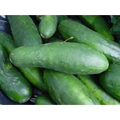 KUMARICE ZA VLAGANJE BIG PACK 10gr