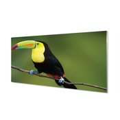 tulup.si Stenska plošča za kuhinjo Pisani papiga na veji 120x60 cm