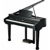 Kurzweil KAG100 Ebony Polish