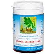 015 Obnova požgane zemlje (ZUO JIN WAN), 100 tbl