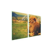 shumee Steklena zaščitna plošča za štedilnik 2x45x52 Lion