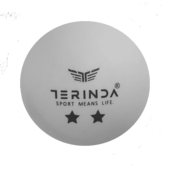 TERINDA Žogice za namizni tenis - Two star