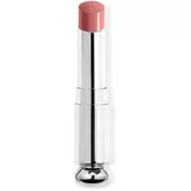 DIOR Dior Addict Refill sjajilo za usne zamjensko punjenje nijansa 250 Dior Charm 3.2 g