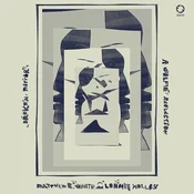 Matthew E. White & Lonnie Holley - Broken Mirror: A Selfie Reflection (Limited Edition) (Pink Coloured) (LP)