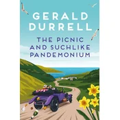 The Picnic and Suchlike Pandemonium