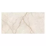 Champagne Glossy (3631) 30x60