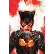 Catwoman Vol. 4: Where the Heart Is