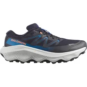 Salomon Ultra Flow 2