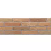 BALKANIA CERAMIC DOO Keramicke plocice Zidne ASCOT FUEGO 20x60