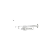 Trobenta Yamaha Bb YTR-8335RGS