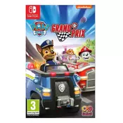 Paw Patrol: Grand Prix / Switch