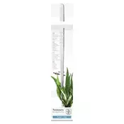 Tropica pinceta