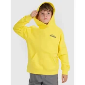 Boys sweatshirt 4F