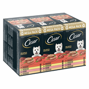40 + 8 gratis! Cesar mokra pasja hrana 48 x 100 g/ 150 g - pladnji: Classic Terrine (48 x 150 g)