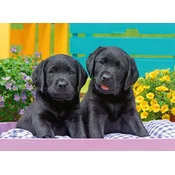 Ravensburger Puzzle Black Labradors XXL 300 kosov