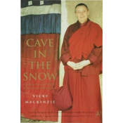 Cave in the Snow